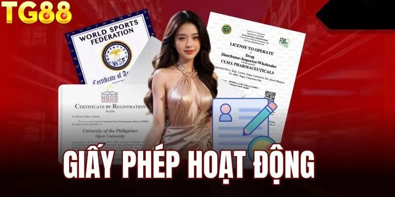 Giấy phép hoạt động được cấp khi đạt các tiêu chuẩn nào?